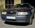 Зимова решітка (верхня) матова для Skoda Octavia I Tour A4 1996-2010 - 3