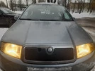 Зимова накладка на решітку Матова для Skoda Fabia 2000-2007 рр - 3