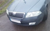 Зимова накладка на решітку (верхня) Матова для Skoda Octavia II A5 2006-2010рр - 2
