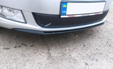 Зимова накладка на решітку (2011-2014, нижня) Матова для Skoda Roomster рр - 5