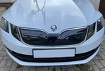 Зимова решітка (2017-2020) глянцева для Skoda Octavia III A7 рр - 1
