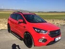 Бокові пороги RedLine V1 (2 шт., Алюміній) З чорним листям на дверях для Ford Kuga/Escape 2013-2019 рр - 2