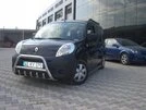 Кенгурятник WT003/004 (нерж.) без напису, 60 мм для Renault Kangoo 2008-2020 рр - 3