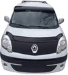 Козирок лобового скла (на рамі) для Renault Kangoo 1998-2008 рр - 1