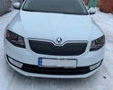 Зимова накладка на решітку (2013-2017) матова для Skoda Octavia III A7 рр - 2
