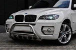 Кенгурятник WT003 (нерж.) 50мм для BMW X6 E-71 2008-2014 рр - 1