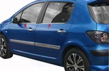 Зовнішня окантовка стекол (4 шт, нерж) для Peugeot 307 - 1