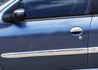 Молдинг дверний (4 шт, нерж) для Peugeot 206 - 3