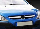 Накладки на решітку (2001-2005, 2 шт, нерж) для Peugeot 307 - 1