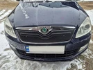 Зимова накладка на решітку (2010-2025, верхня) Матова для Skoda Roomster рр - 3
