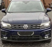 Накладки на решітку 2016-2020 (2 шт., нерж) для Volkswagen Tiguan рр