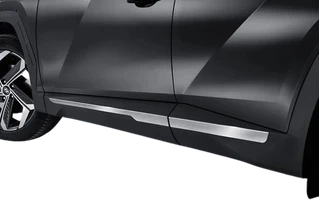 Молдинг дверний (4 шт, нерж) для Hyundai Tucson NX4 2021- рр