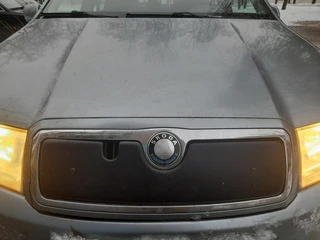 Зимова накладка на решітку Матова для Skoda Fabia 2000-2007 рр