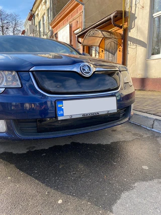 Зимова накладка на решітку (Нижня, 2008-2013) Матова для Skoda Superb рр