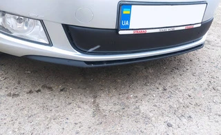Зимова накладка на решітку (2011-2014, нижня) Матова для Skoda Roomster рр