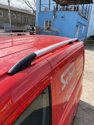 рейлінги Хром Стандартна, пластикові ніжки для Ford Connect 2014-2021 рр