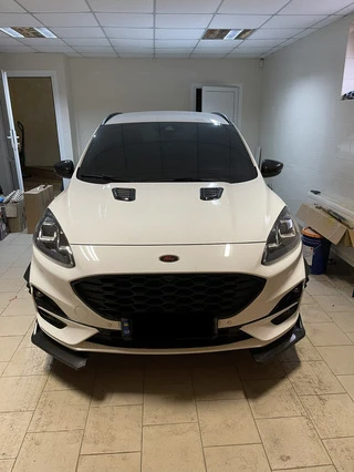 Накладка на капот тип-B (2 шт, ABS)