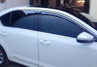 Повна окантовка вікон (10 шт, нерж) для Skoda Octavia III A7 2013-2019рр