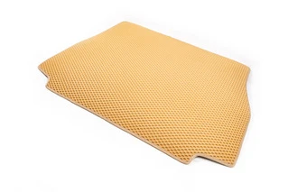 Килимок багажника (EVA, бежевий) для BMW X5 E-53 1999-2006 рр