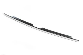 Накладки на решітку радіатора (1 шт., нерж.) OmsaLine - Італійська нержавійка для Ford Connect 2002-2006 рр