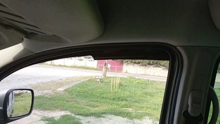 Вітровики (2 шт., Sunplex Sport) для Renault Kangoo 2008-2020 рр