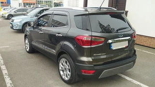 Молдинг дверей (4 шт, нерж) для Ford Ecosport