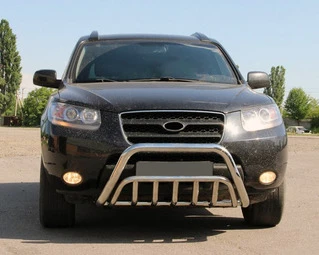 Кенгурятник WT002 (нерж.) для Hyundai Santa Fe 2 2006-2012 рр