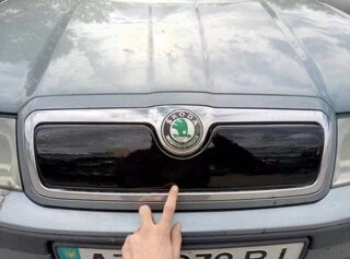 Зимова решітка (верхня) матова для Skoda Octavia I Tour A4 1996-2010