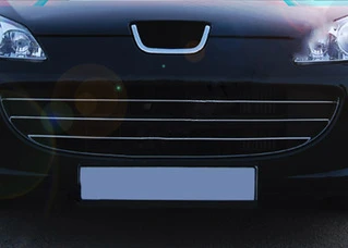 Накладки на решітку (3 шт, нерж) Carmos - Турецька сталь для Peugeot 407