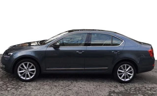 Повна окантовка вікон (10 шт, нерж) для Skoda Octavia III A7 2013-2019рр