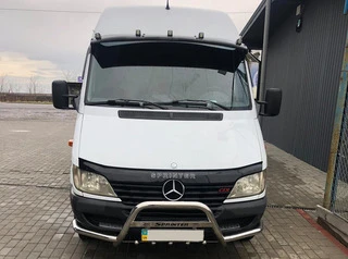 Кенгурятник з вусами (нерж.) для Mercedes Sprinter W901/902/903/904/905 1995-2006 рр