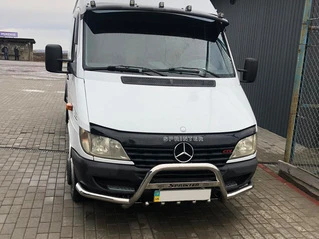 Кенгурятник з вусами (нерж.) для Mercedes Sprinter W901/902/903/904/905 1995-2006 рр