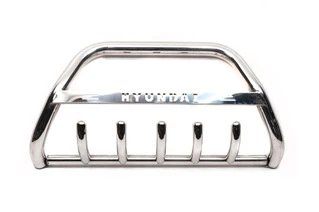 Кенгурятник WT004 (нерж) для Hyundai H300, H1, Starex 2008-2020 рр