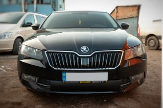 Зимова накладка на решітку (нижня) Матова для Skoda Superb 2015-2024 рр