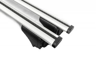 Бокові пороги (під фарбування) для Renault Clio III 2005-2012 рр